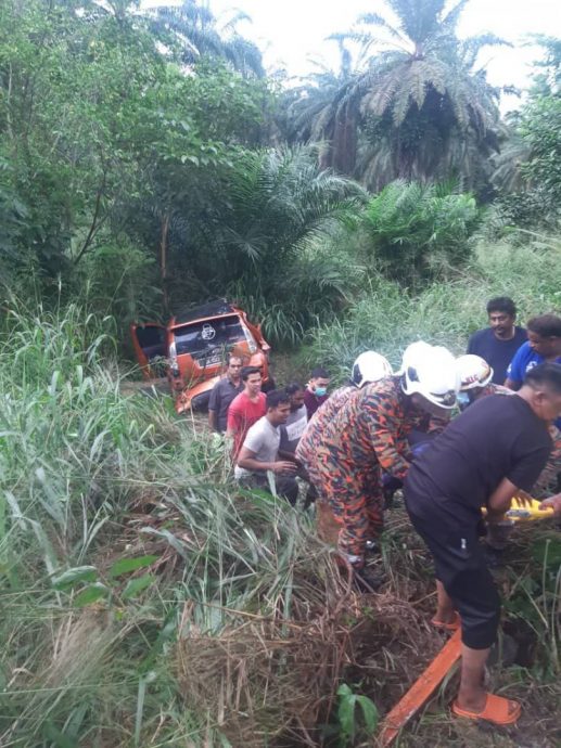 柔:文告:汽车疑失控打滑后撞树 司机当场伤重身亡