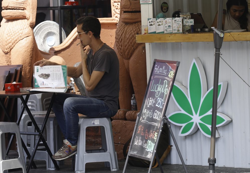 泰国“大麻合法化”恐走入历史 卫生部新草案:禁娱乐用大麻