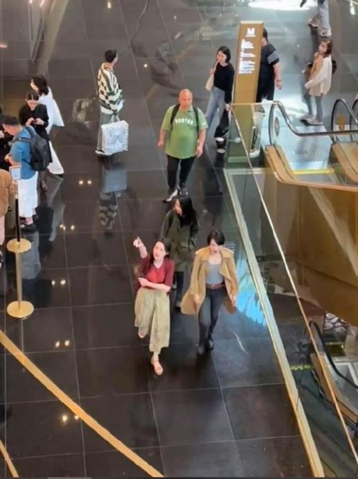 泰国野生捕获2年近半百影后 舒淇李心洁同框画面养眼