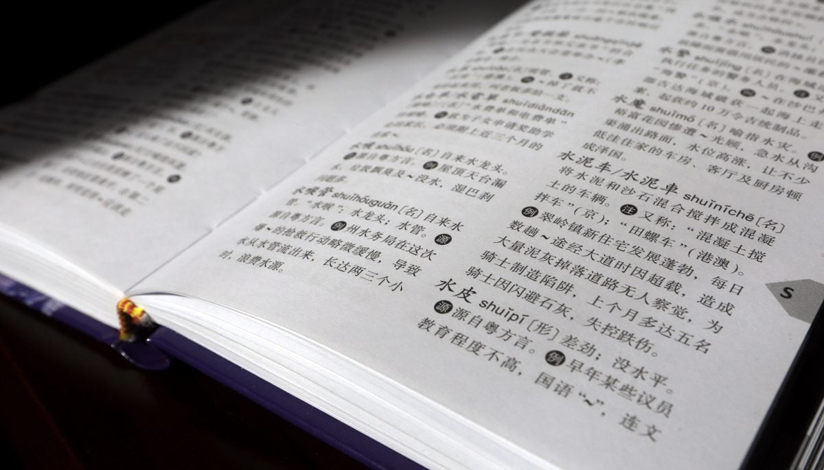 独家|没有“低人一等”却是世界唯一 大马华语“正名”了!