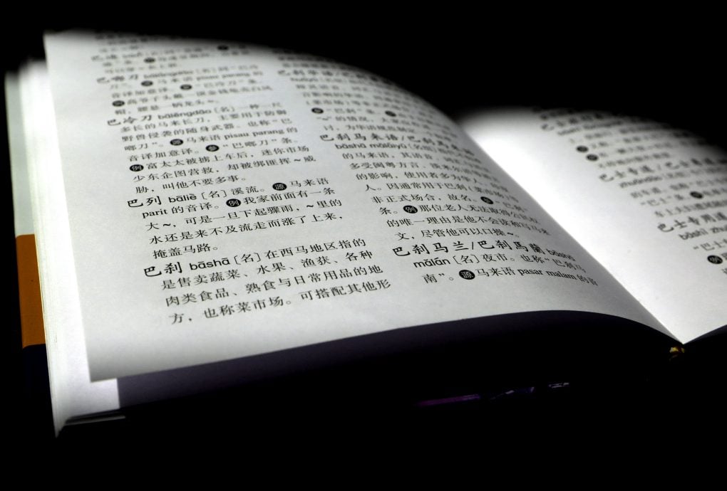 独家|没有“低人一等”却是世界唯一 大马华语“正名”了!