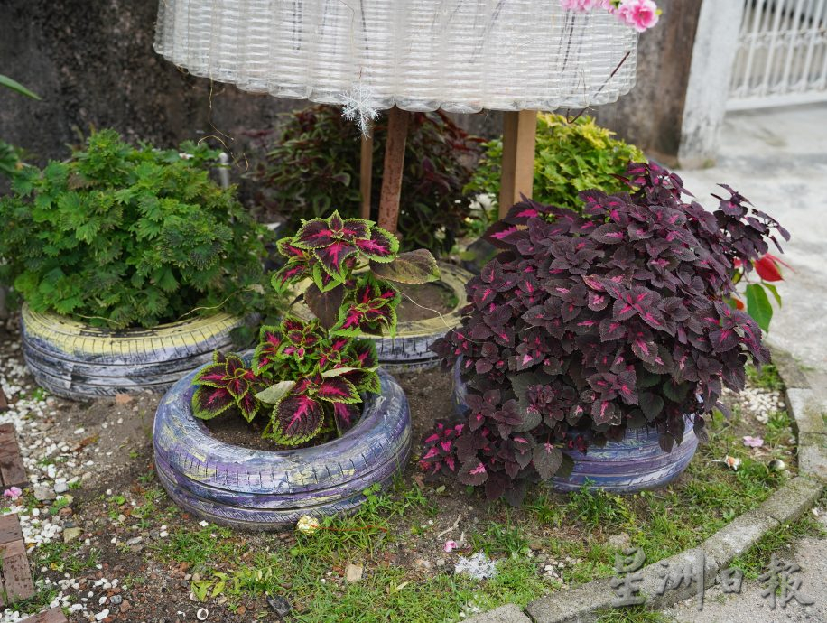 盼吸引游子回家 居民自发布置年景