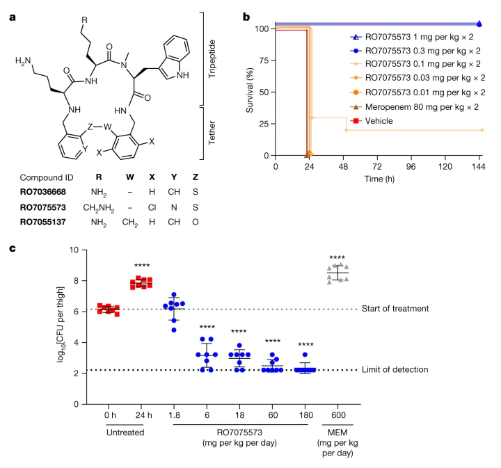 科学界大突破! 50年来首次发现可消灭抗药性细菌的抗生素