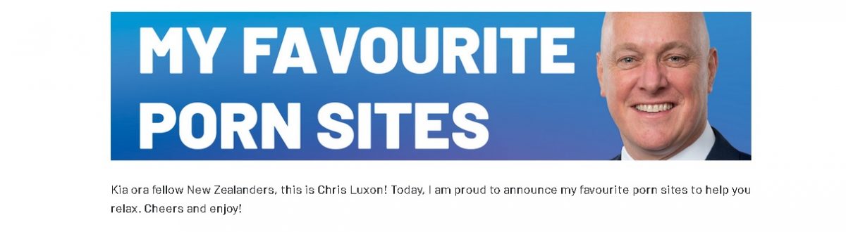 纽总理肖像被恶搞 为色情网站打广告