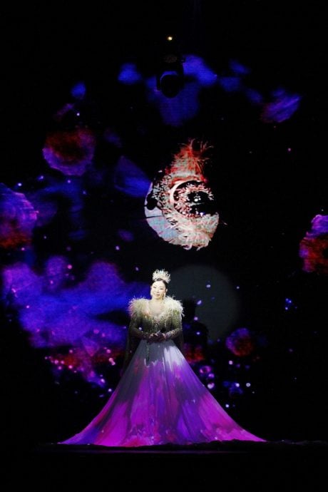 苏家玉《情系大马》20周年慈善演出