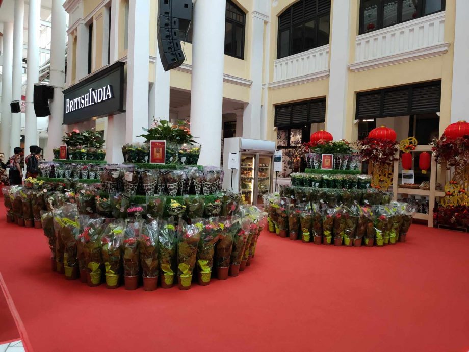 葛尼百丽宫广场 新春装饰花市等你来逛