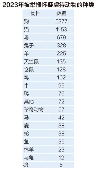 虐待动物事件递增,怎么做才能举报有成效?