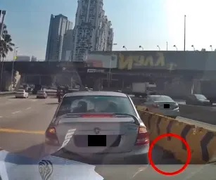 视频| 女子快车道停车救猫 网轰危险：“恐好心做坏事”