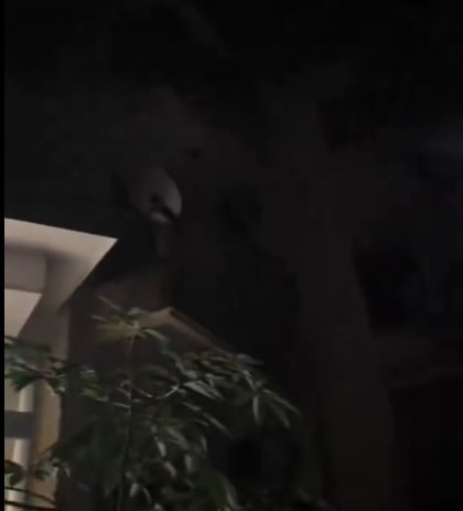 视频 | 抵达酒店感觉像在拍鬼片!男子吓得不敢住带家人逃