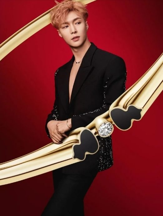 起诉毒舌黑粉 刘诗诗张艺兴互告对方粉丝