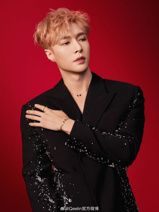 起诉毒舌黑粉 刘诗诗张艺兴互告对方粉丝