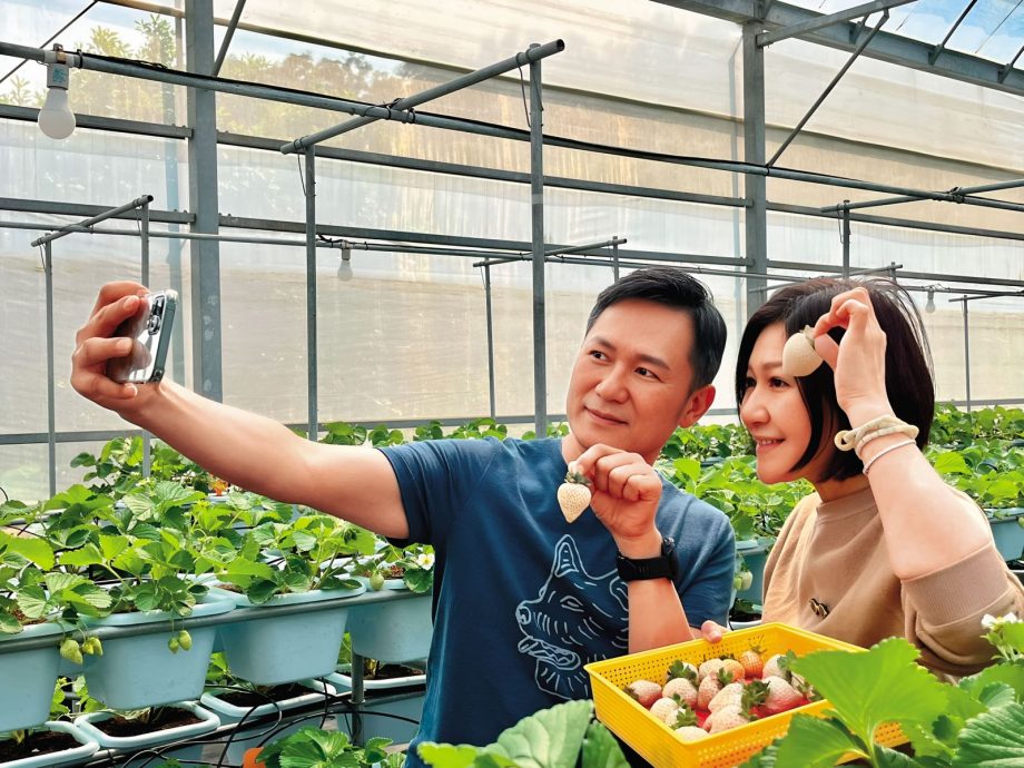 辣杯杯判赔47万恐遭查封 陶子怒呛:恶人先告状