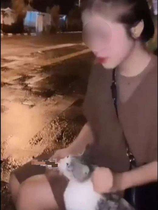 逼猫吸烟涉虐待动物 少女认错:只是开个玩笑