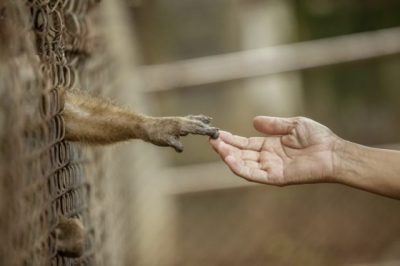 遏制虐待发生,我们应该怎么做?