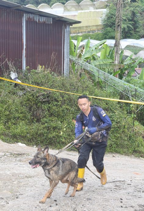 金马仑土崩|阿兹里:5被埋人士为亲友关系