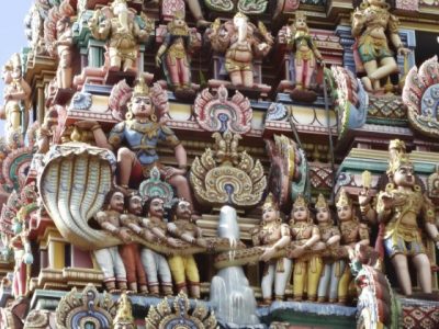 陈亚才/印度神话中的Naga