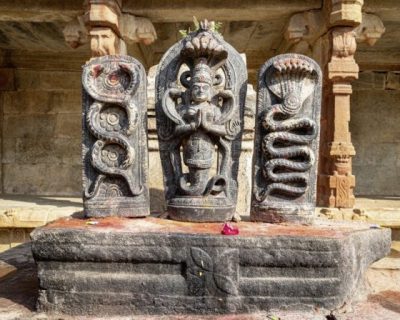 陈亚才/印度神话中的Naga