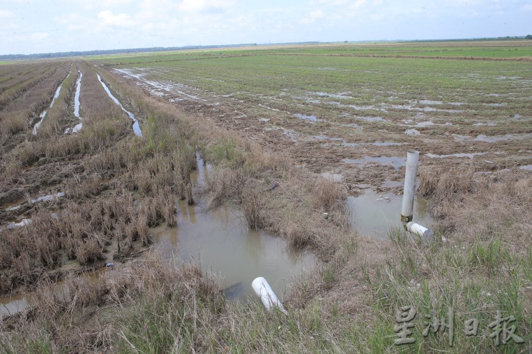 陈家兴:供解决问题增产 探讨水闸列米仓