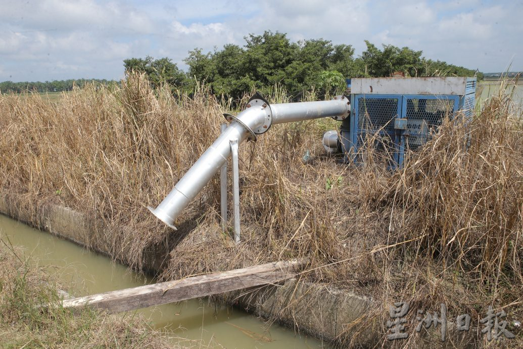 陈家兴:供解决问题增产 探讨水闸列米仓