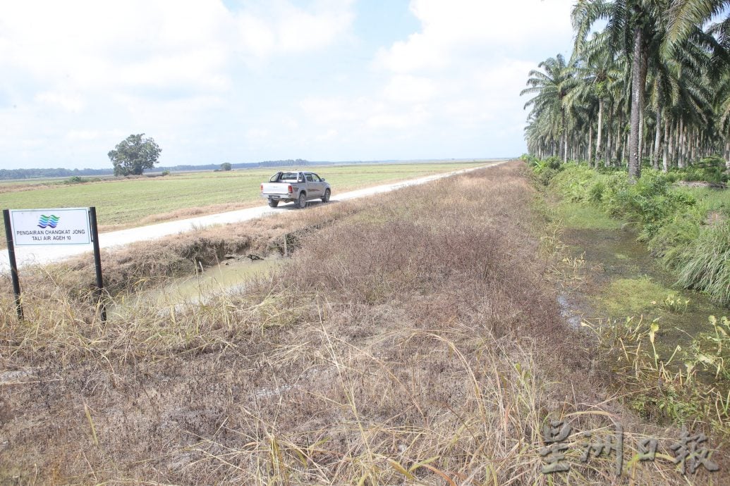 陈家兴:供解决问题增产 探讨水闸列米仓