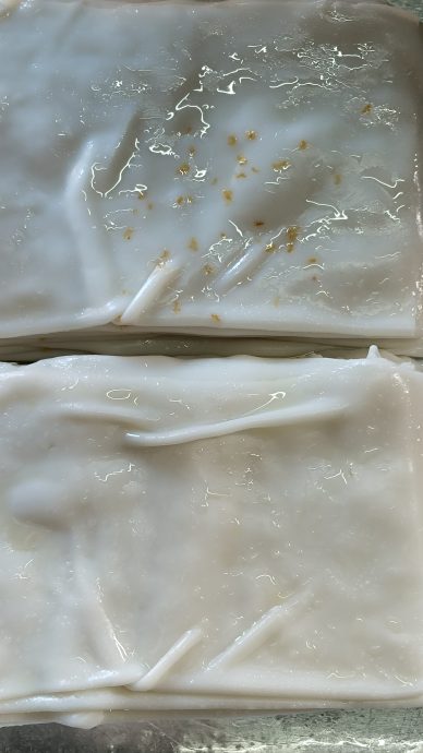 霹:10日见报/封底主文/它的诞生|爽滑白嫩猪肠粉 酱汁酿料搭配简单美味