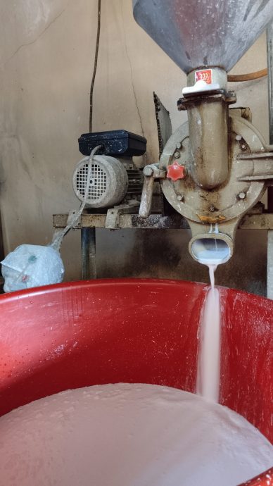 霹:10日见报/封底主文/它的诞生|爽滑白嫩猪肠粉 酱汁酿料搭配简单美味