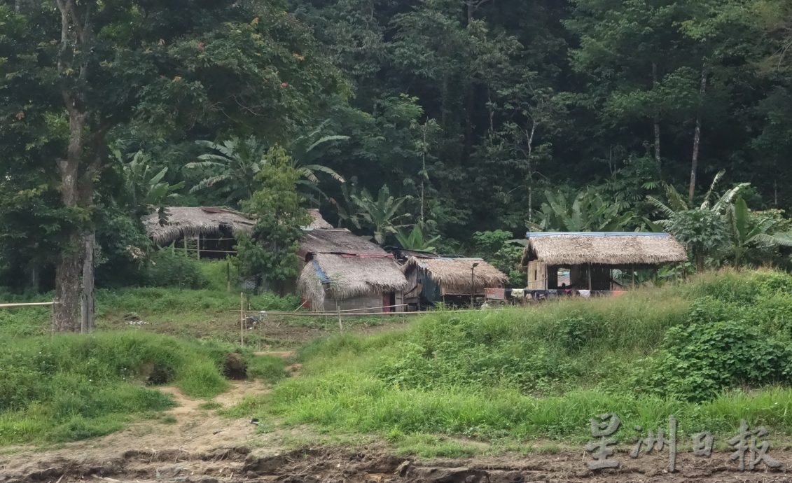 霹:26日见报/封底主文/柏隆皇家森林秘境探幽─完结篇︱保护老虎你我有责