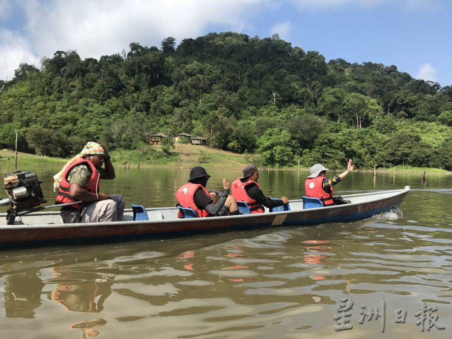 霹:26日见报/封底主文/柏隆皇家森林秘境探幽─完结篇︱保护老虎你我有责