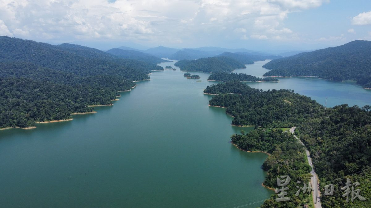 霹:26日见报/封底主文/柏隆皇家森林秘境探幽─完结篇︱保护老虎你我有责