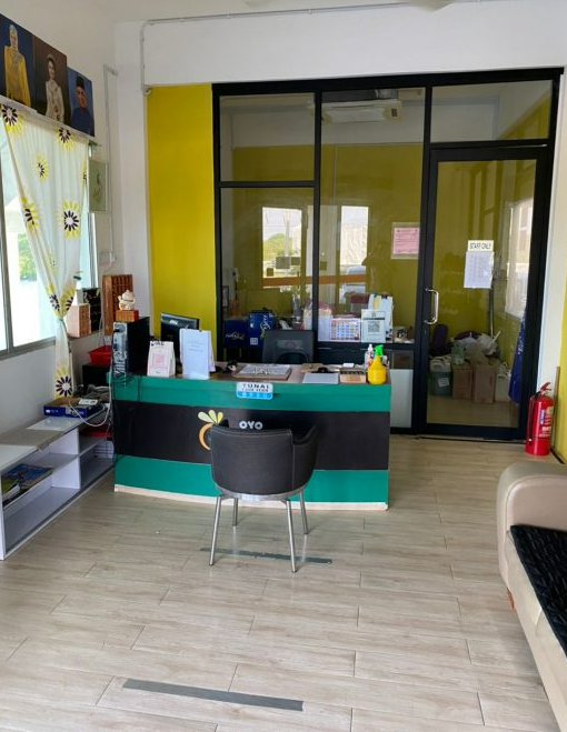 霹:p3头5图/农历新年将至 金宝民宿预订反应热烈