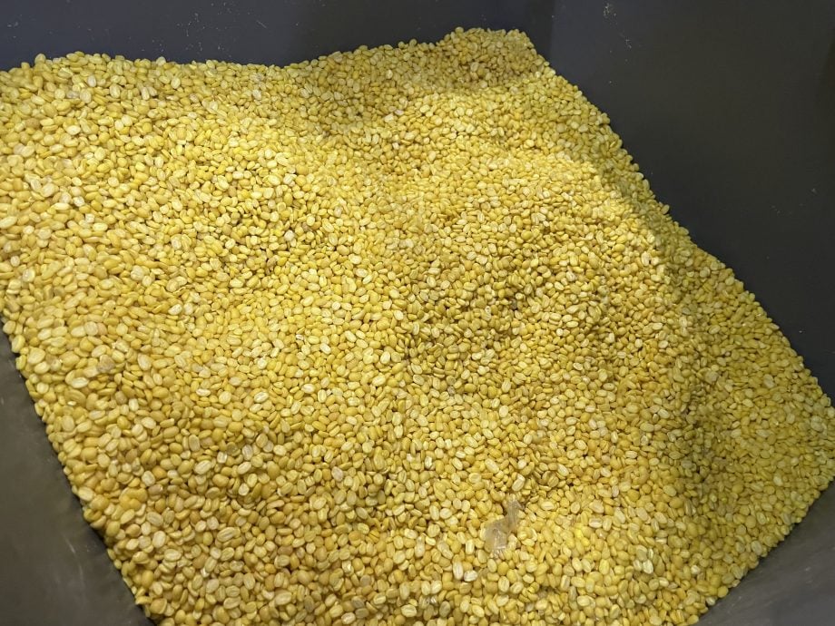 食曾相识-潮州绿豆爽