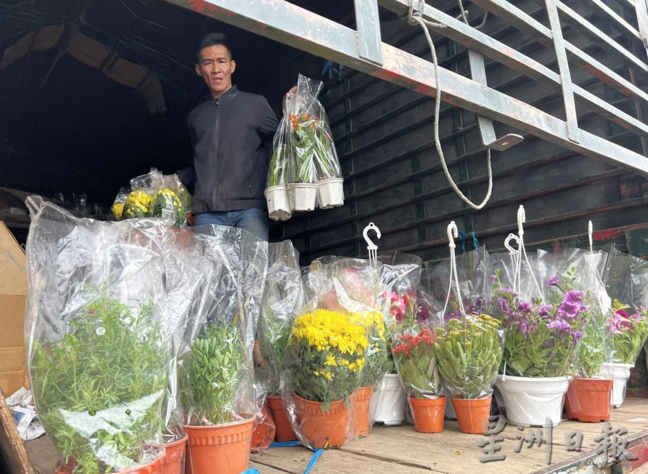 （古城封底主文）【带你去找爱】：年花疗愈的爱