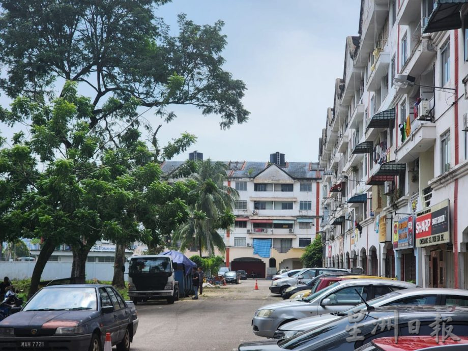 (古城第二版主文)哥打拉沙马那乌达玛公寓12棵树木耗时一星期砍伐,解决鸦患问题