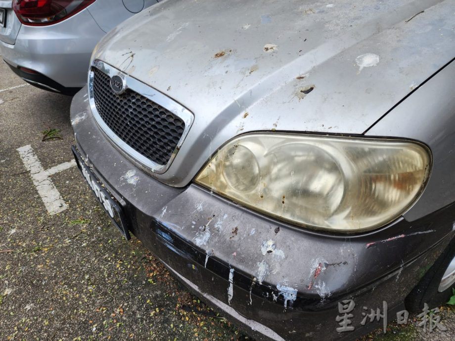 (古城第二版主文)哥打拉沙马那乌达玛公寓12棵树木耗时一星期砍伐,解决鸦患问题