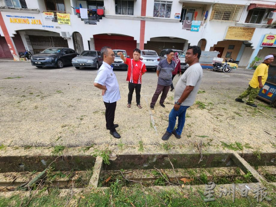 (古城第二版主文)哥打拉沙马那乌达玛公寓12棵树木耗时一星期砍伐,解决鸦患问题