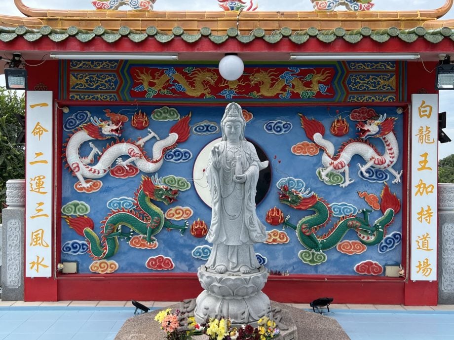 （古城第五版主文）青山侯王庙，一柱擎天大龙柱