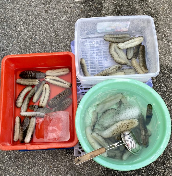 +(大都会)巴生早市春味浓