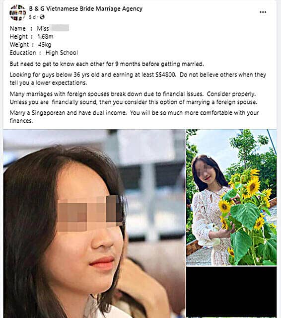 (已签发)柔:狮城二三事:17岁越南女狮城征婚 男收入需1.7万