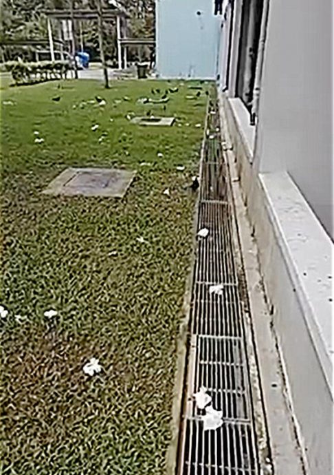 (已签发)柔:狮城二三事:恶邻高楼抛食物 男子被砸一身臭