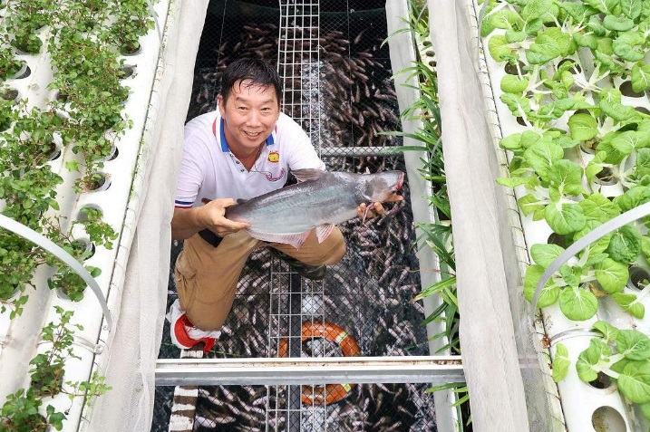 (已签发)柔:狮城二三事:龙年龙虾销量增 狮城农场办新春活动受欢迎