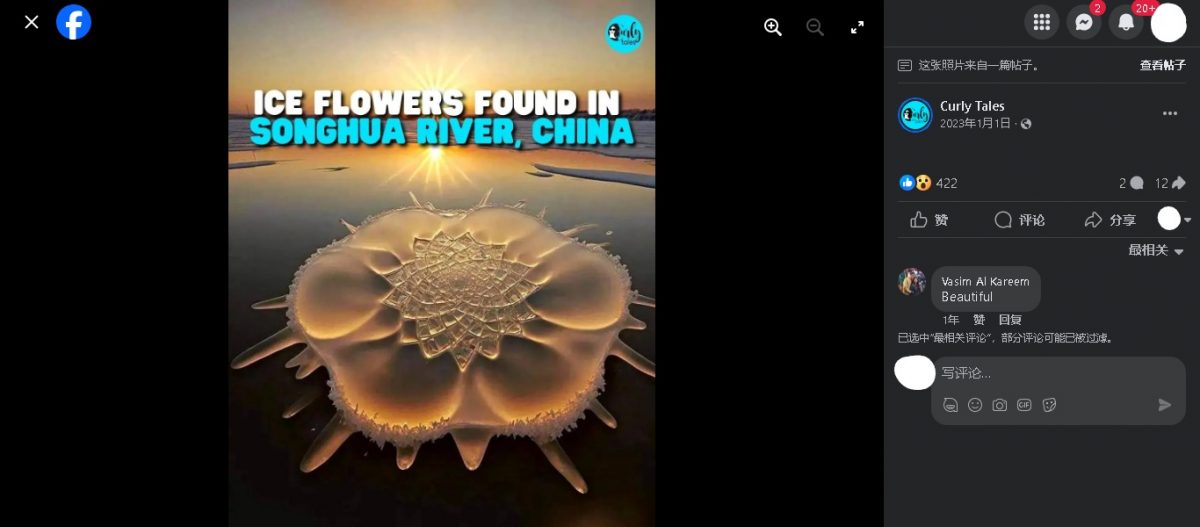 (求真)中国松花江上的“冰花”是真的?