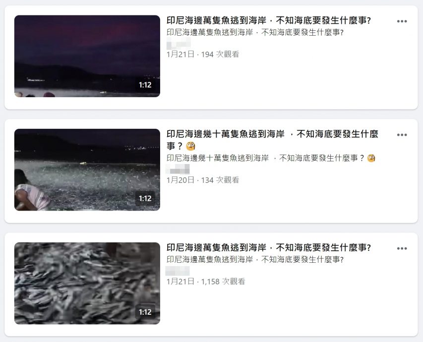 印尼沿岸大量鱼群集体搁浅?发生于菲律宾