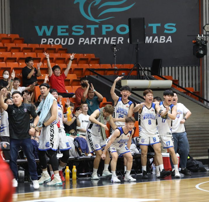 MBL|苦胜槟少年闯争冠战 南虎能推翻金群利霸业?