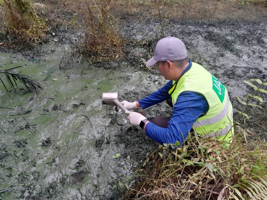 NS芙蓉/又一宗毒废料弃油棕园