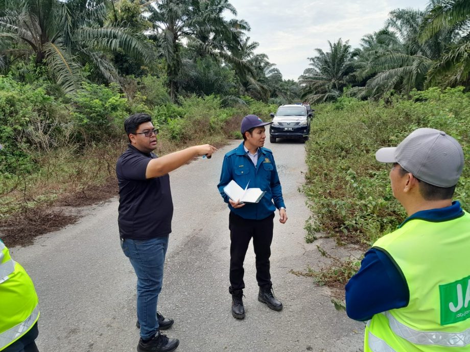 NS芙蓉/又一宗毒废料弃油棕园