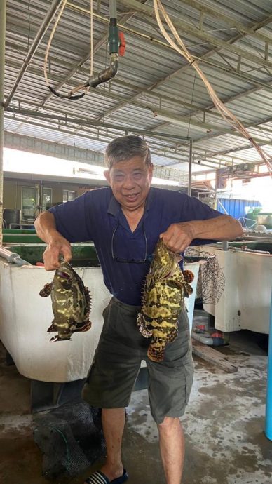 26/2大都会/有故事的人—水产养殖专家邱英华