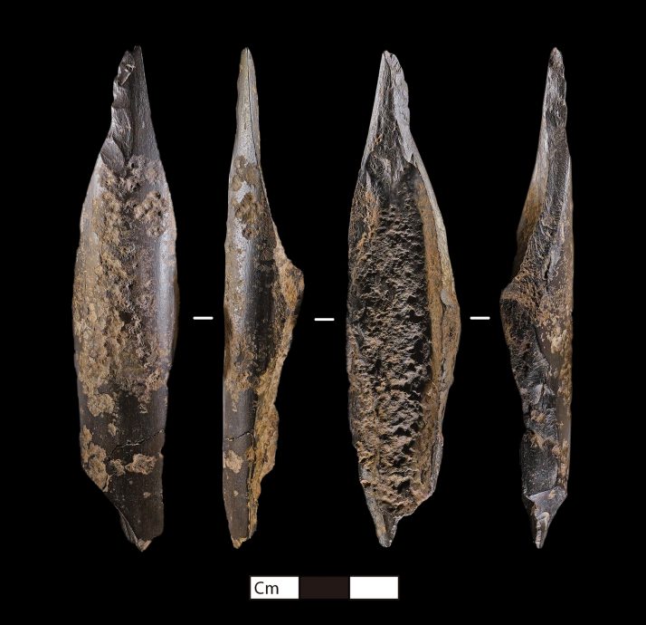 5到7万年前考古遗址出土 归功暴雨洪水冲垮河岸