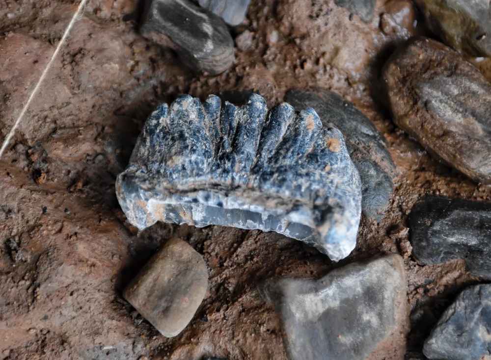 5到7万年前考古遗址出土 归功暴雨洪水冲垮河岸