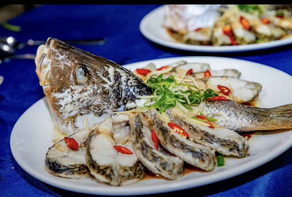 8/2《食曾相识》： 团圆饭的家之味  