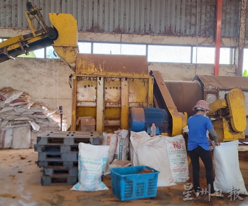 ★2月26日刊登／大霹雳封底主文／【农的传人】／一香椰五种产品 椰子物尽其用  